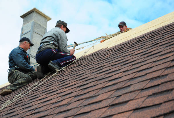 Roof Gutter Cleaning in Grandview, IL